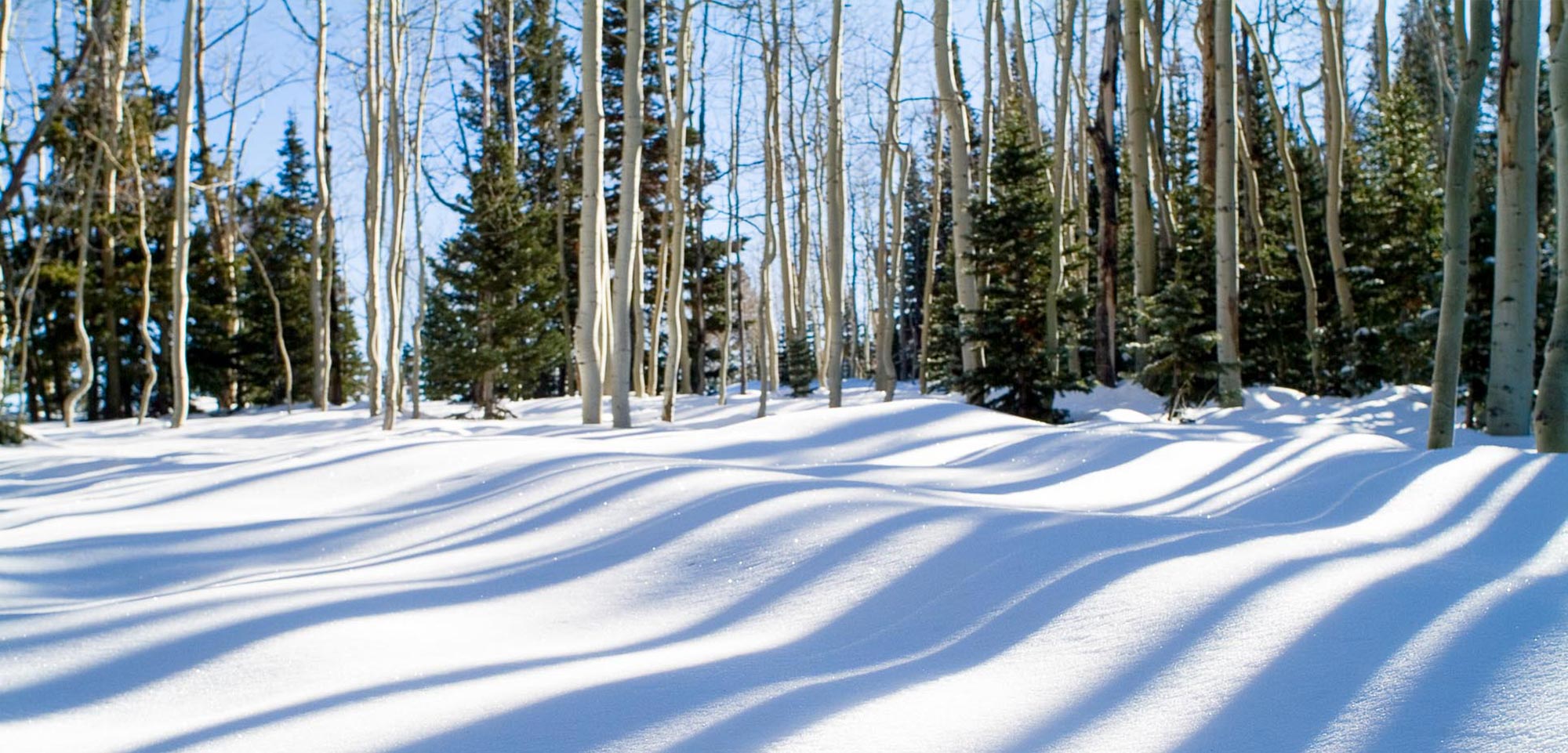 ParkCity_Location_6